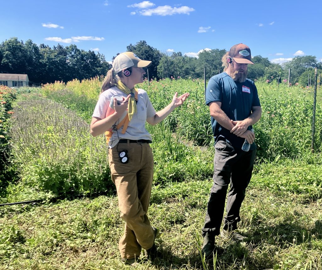 Futuro Hidden Acre photo