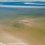 Cape Cod Cooperative Extension