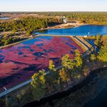 Massachusetts Department of Agricultural Resources (MDAR)