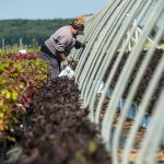 Connecticut Farm Bureau