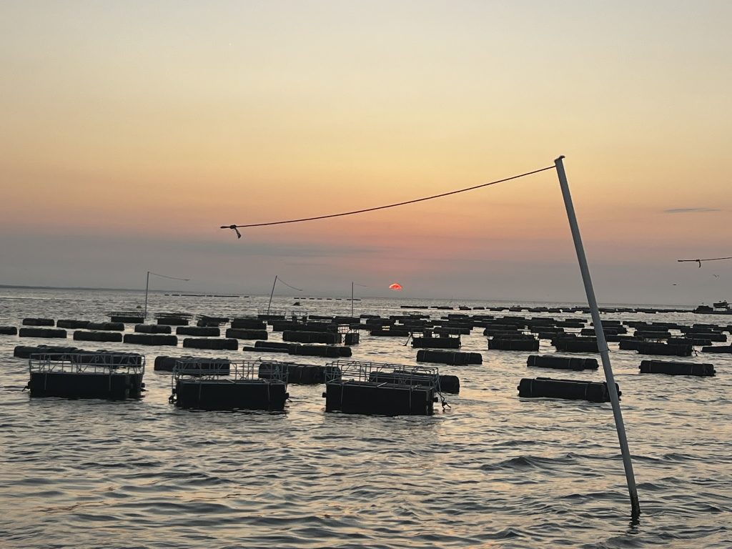 Oyster farming commute photo