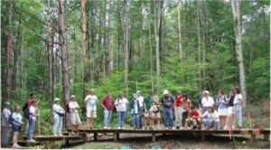 SFQ Woodlot Productivity Fig3