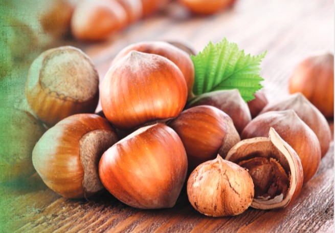 hazelnuts