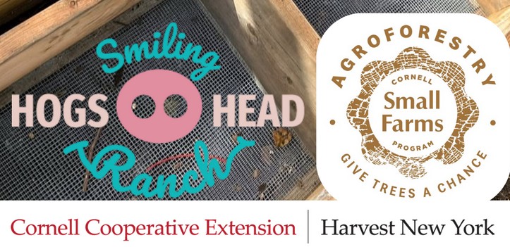 Logos for smiling hogs head ranch, small farms program agroforestry, and cornell cooperative extension harvest new york