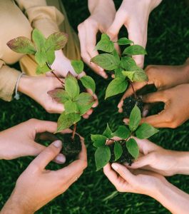 pexels shvetsa 5029853 2