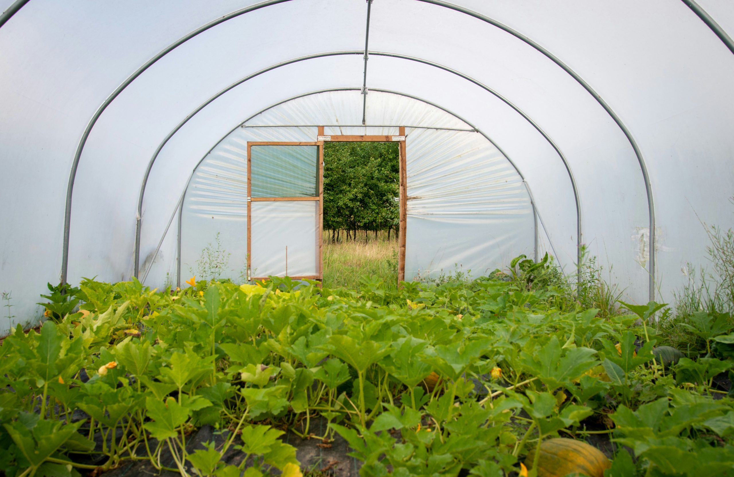 Grow Your Farm Dreams with Our Online Courses