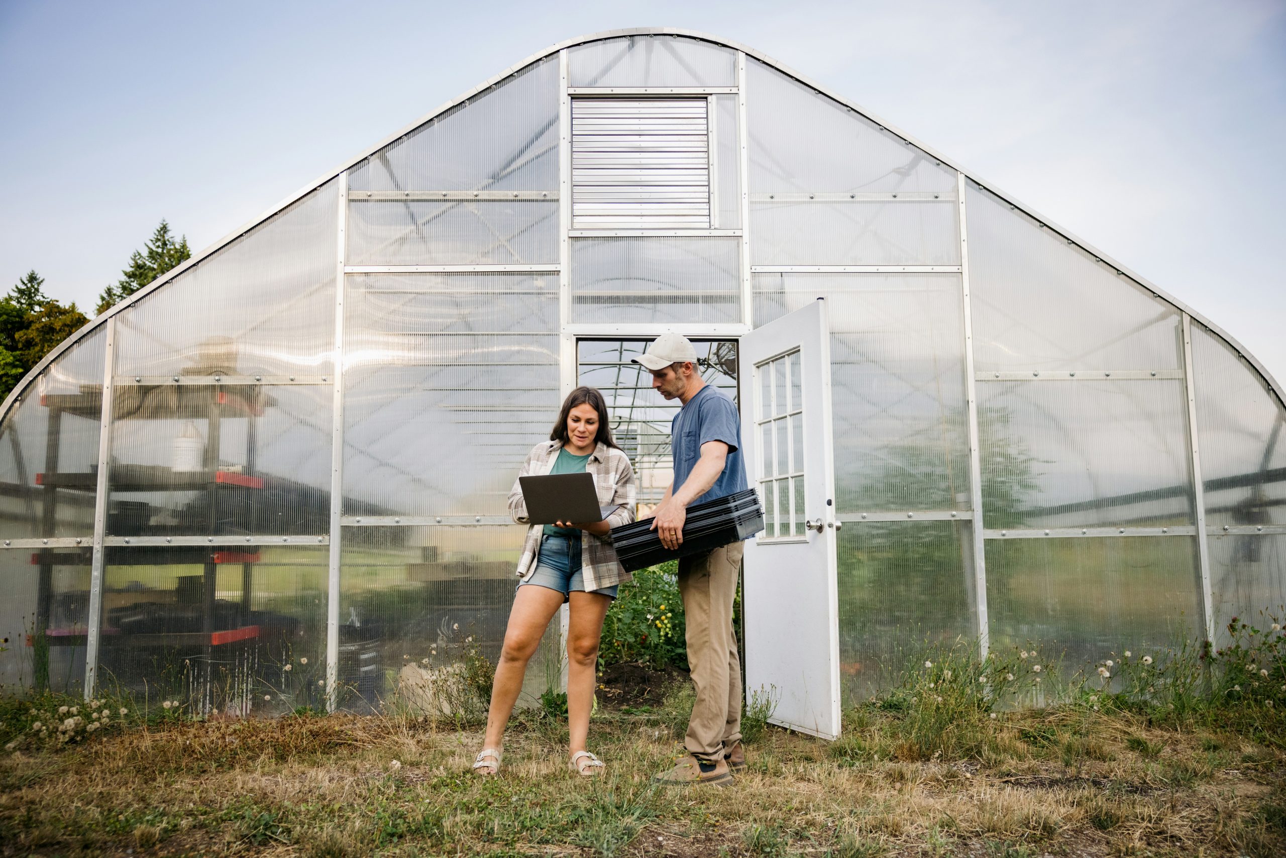 From Business to Beef, Our Online Courses Help Farmers Learn New Skills