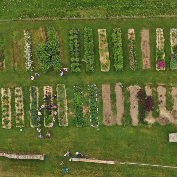 2021-Spring-SFQ-cover-bed-plan-aerial copy