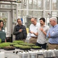 The Cornell CEA Advisory Council, which was formed in 2015 to expand the retail and food service markets for products grown using CEA, hosted on campus more than 80 entrepreneurs and stakeholders from across the Northeast to discuss the state of the indoor farming industry, urban agriculture, supermarket trends and new technology. Above, Doctoral student Jonathan Allred, center, leads a tour of Cornell greenhouses in November. (Photo: R.J. Anderson / Cornell Cooperative Extension) 