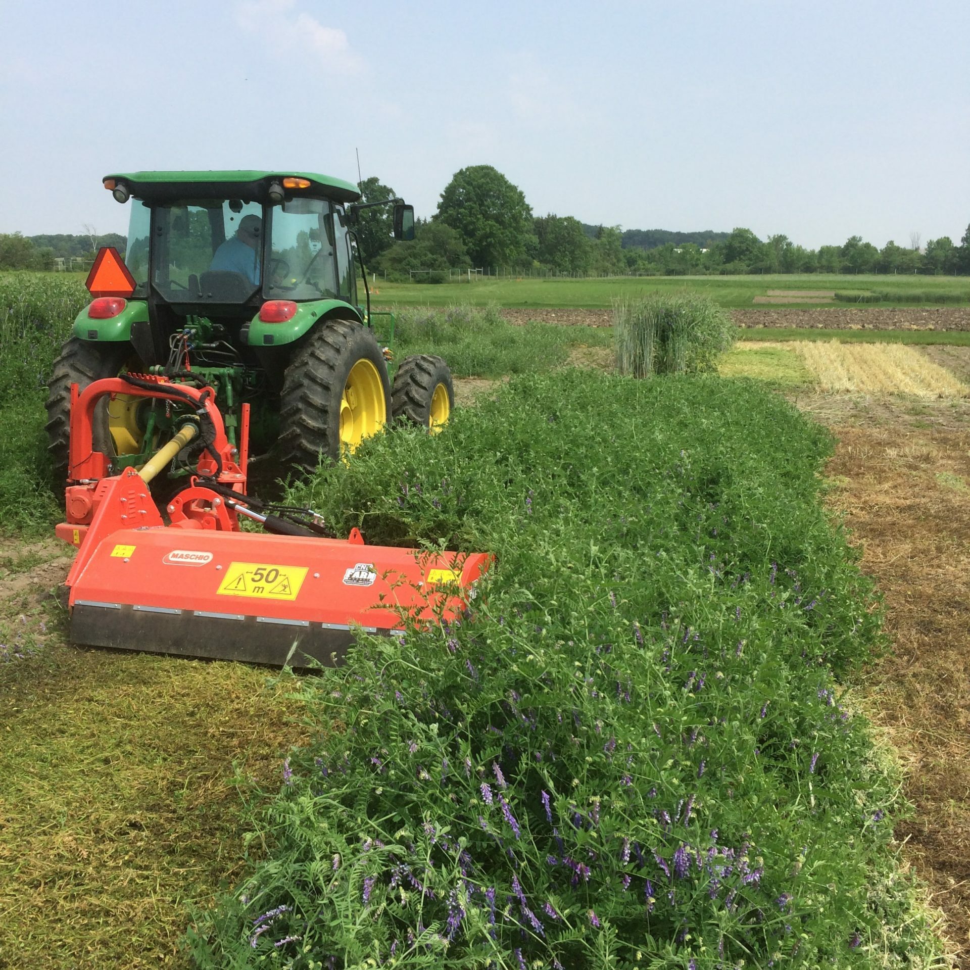 Hairy vetch can be terminated organically by mowing at flowering. When planted as a monoculture, vetch offers less biomass then rye-vetch mixtures. The benefits include greater N availability and less residue interference with strip tillage and cultivation operation if and when weeds emerge.