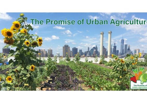 Promise of Urban Ag Web Banner courses