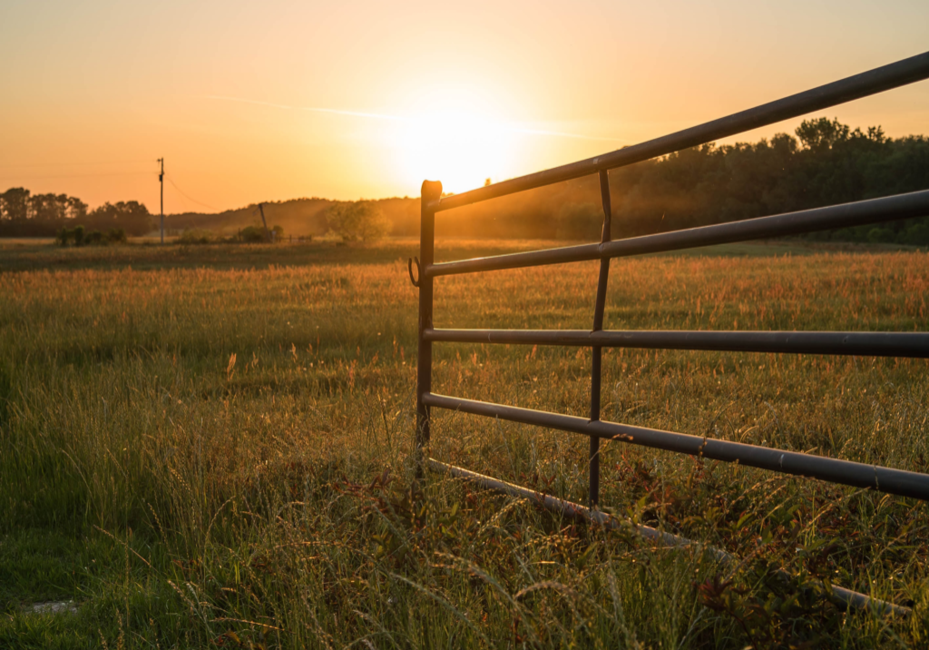 farm-field-gate-sunrise-unsplash