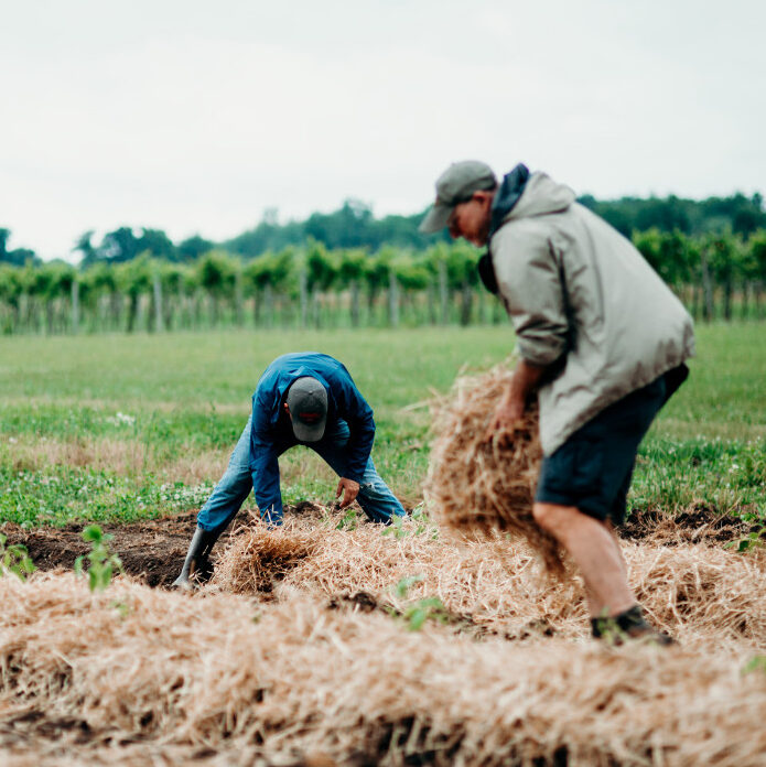farm-work-labor-rows-hay-cals-insta